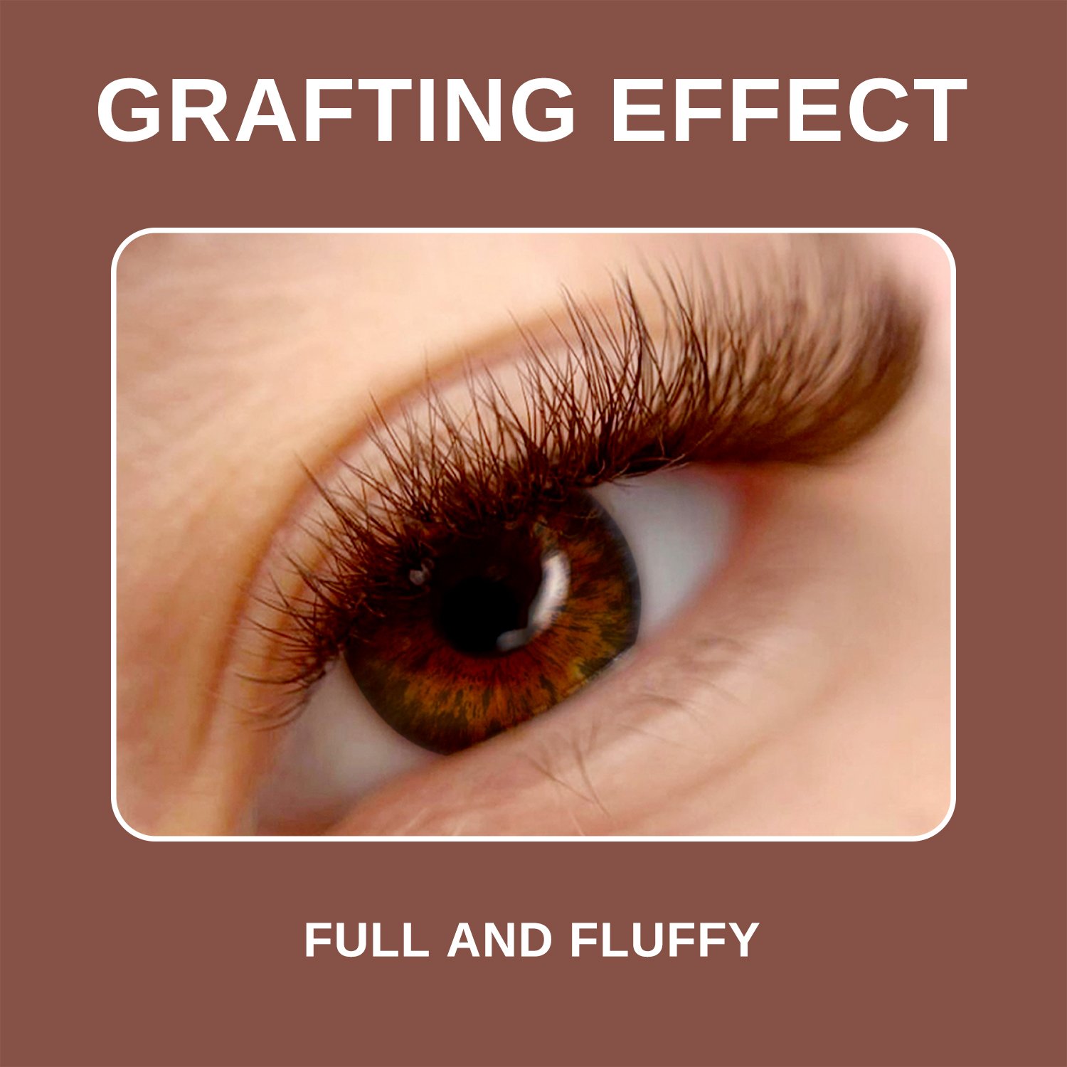 Brown Color Premade Fans 3D/4D/5DVolume Eyelash - Image 6